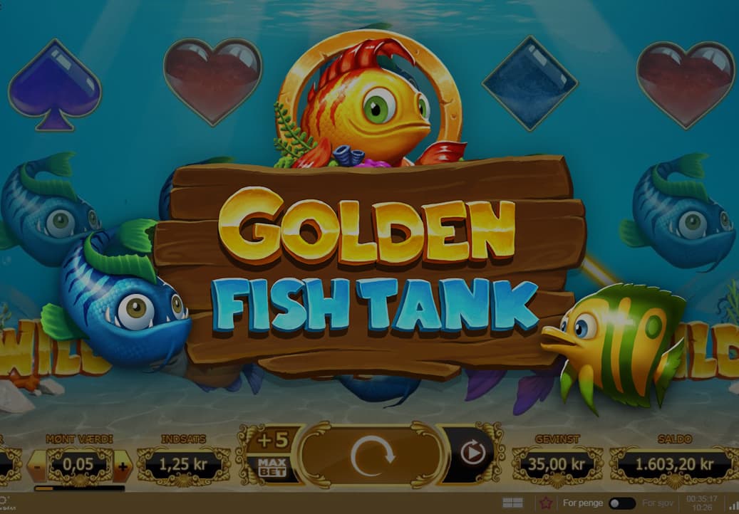 Golden Fish Tank